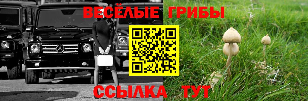 Галлюциногенные грибы мицелий  как найти закладки  Ростов Великий  Вход с VPN 
